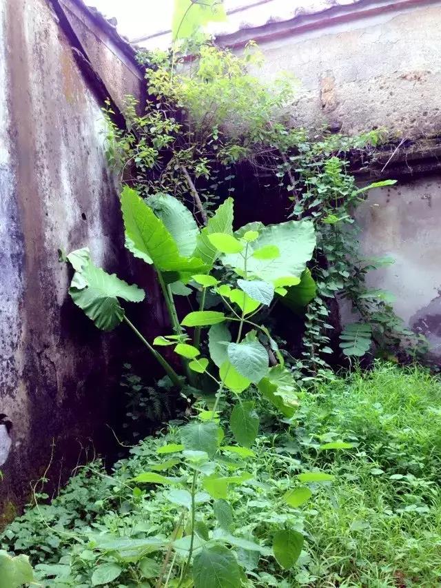 物质世界--两代人