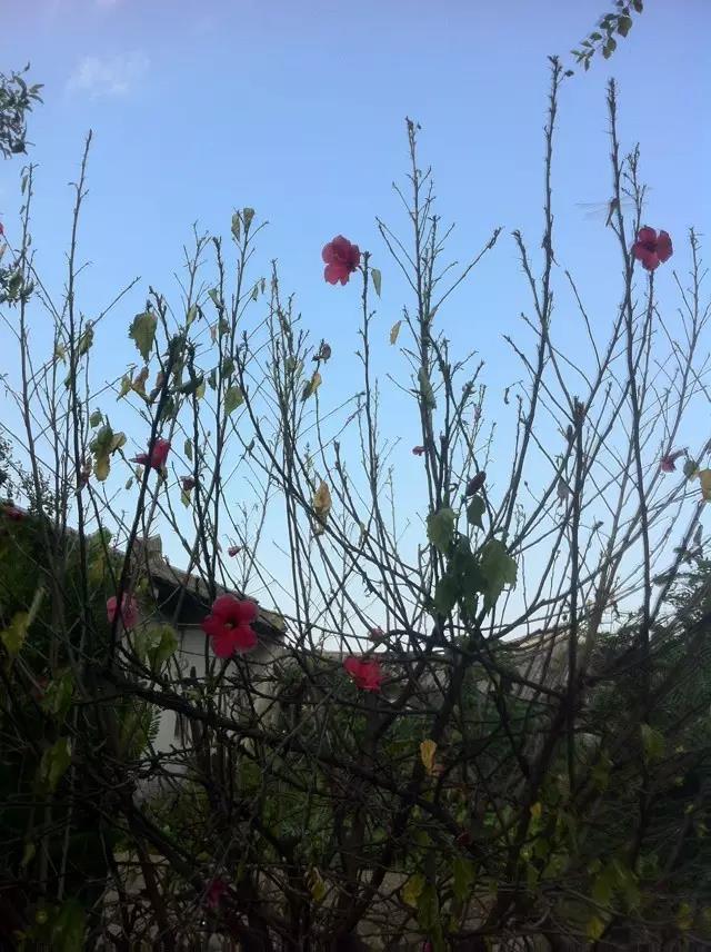 物质世界--两代人