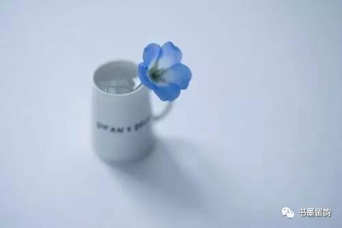 选择的集合人生4