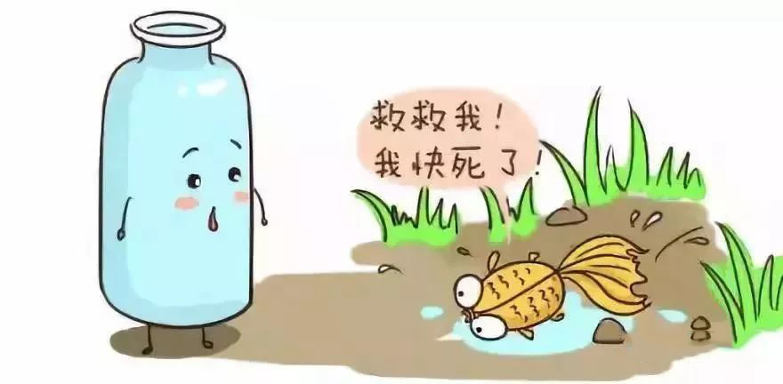 一个瓶子的故事-2