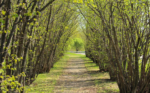 早春气候还不稳定 女性受寒易痛经