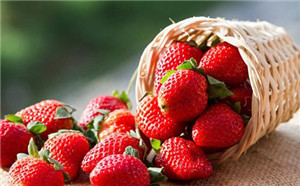 春季瘦身5歀食谱，甩掉肥肉