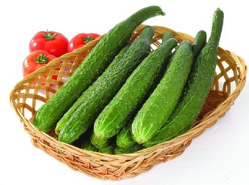 春季瘦身5歀食谱,甩掉肥肉-黄瓜