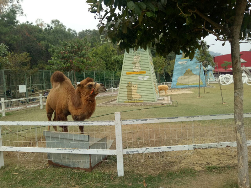 望天湖旅游度假区